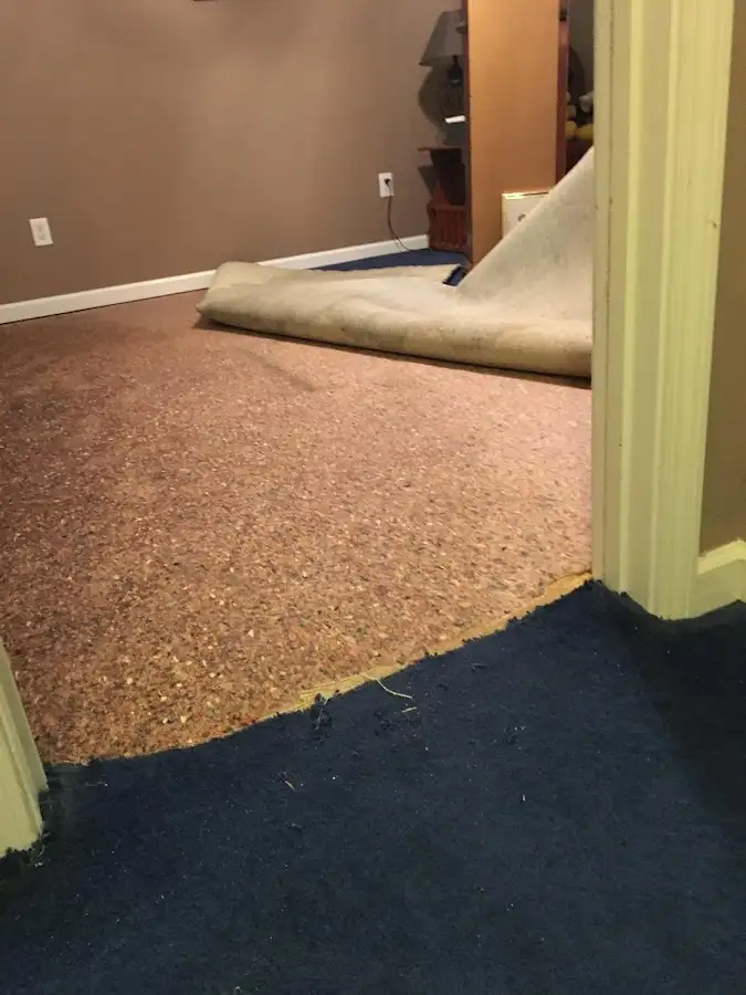 Carpet pad removal revealing water damage during Water Mitigation Services in Catalina