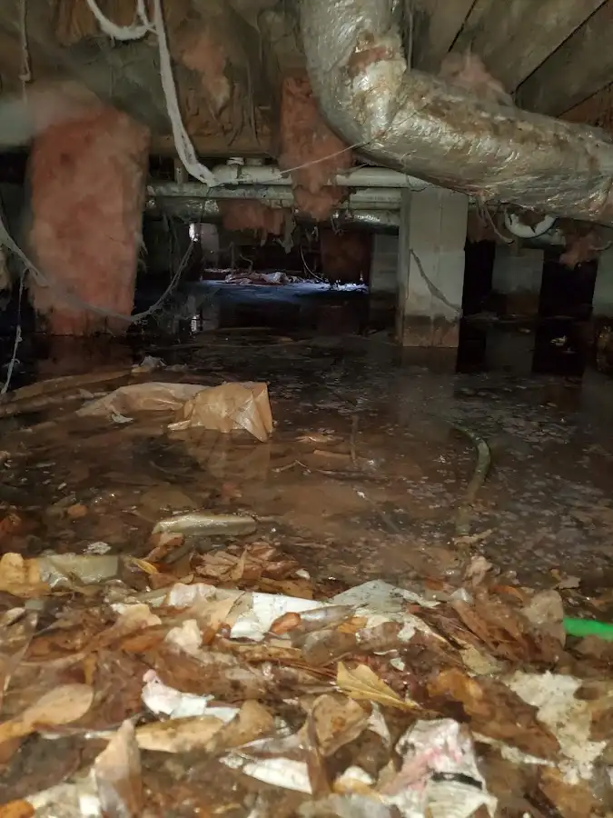Crawl space flood assessment for Commercial Water Damage Restoration in Catalina