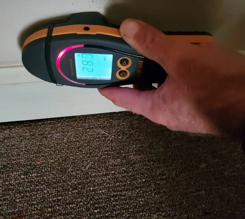 Moisture detection at baseboard during Mold Inspection & Testing in Catalina